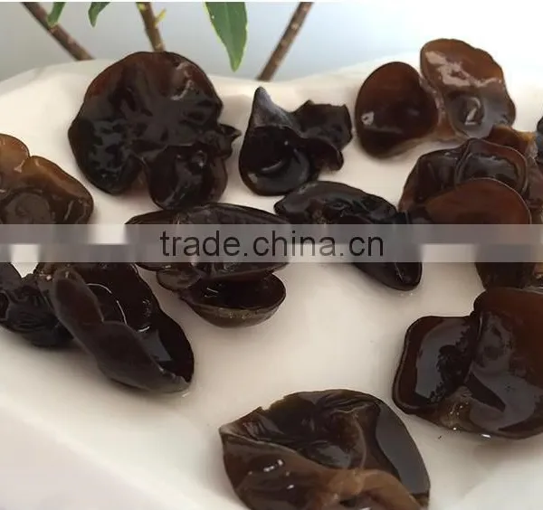 Perfect Black Fungus Mushrooms photo-5
