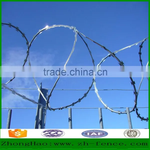 Hot Sale High Quality Prison Used Razor Barbed Wire Fence photo-2