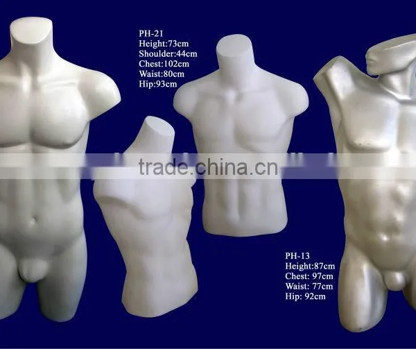 male torso bust mannequins