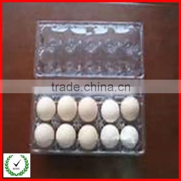 Wholesale Disposable Plastic Egg Carton