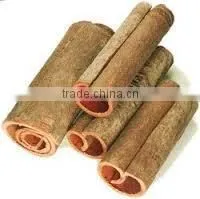 HKVIMEX'S CASSIA TUBE GOOD QUALITY AND BEST PRICE
