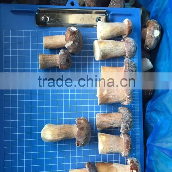 2016 Crop Frozen Boletus Edulis Mushroom With Best Price photo-3
