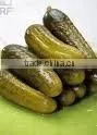Good Quality Vietnam Fresh Natural Pickled Cucumbers in Jar 6-9cm photo-5