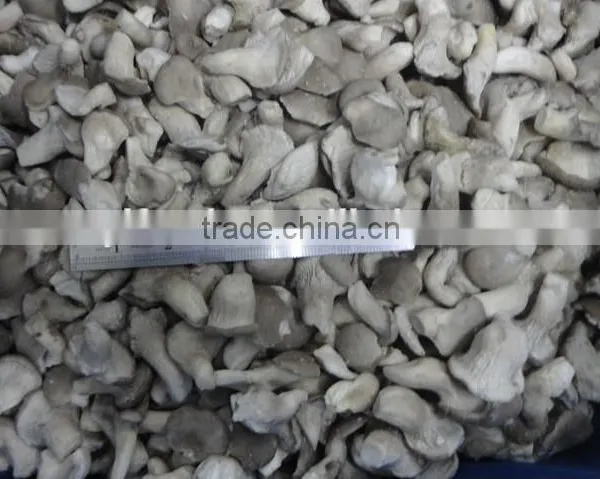 2015 New Price Frozen Oyster Mushrooms photo-3