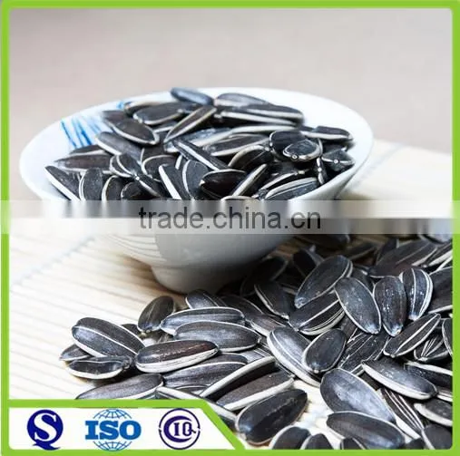2016 Raw Dried 5009 Sunflower Seed Ton Price