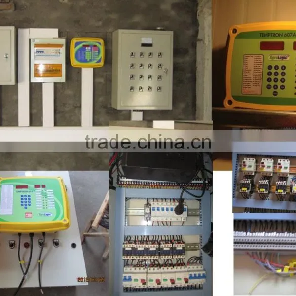 Automatic Broiler Poultry Farm Equipment photo-3