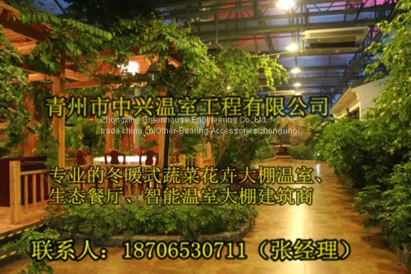 We Construct Vegetables Greenhouse More Professional photo-4