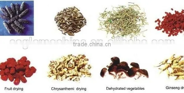 Industrial Tray Type Vegetable Mushroom Dryer Machine photo-4