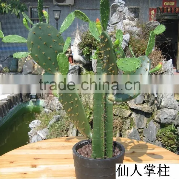 Indoor Fake Artificial Cactus Bonsai photo-6