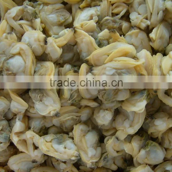 Frozen Short Neck Clam Meat photo-2