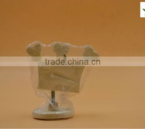 2015 Mini Wooden Memo Clip,wooden Decoration With Spring photo-3