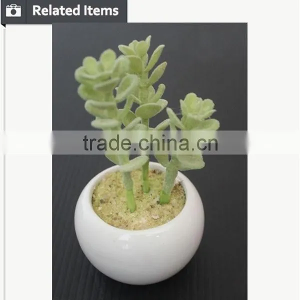 Mini Potted Succulents Plants Factory Selling Mini Artificial Succulents photo-6