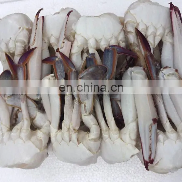 Wholesale Frozen Cut Blue Swimming Crab for Market photo-5