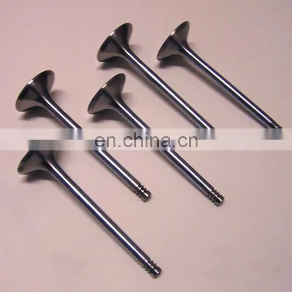 OEM Quality 4926069 3080975 3417778 4955239 Intake Exhaust Valve For Cumminss QSM11 Engine Valve photo-2