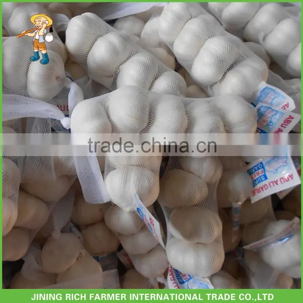 Jinxiang New Crop Fresh Wholesale Garlic