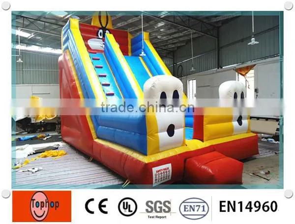Most Fascinating Inflatable Slide Type Inflatable Double Lane Slip Slide photo-4