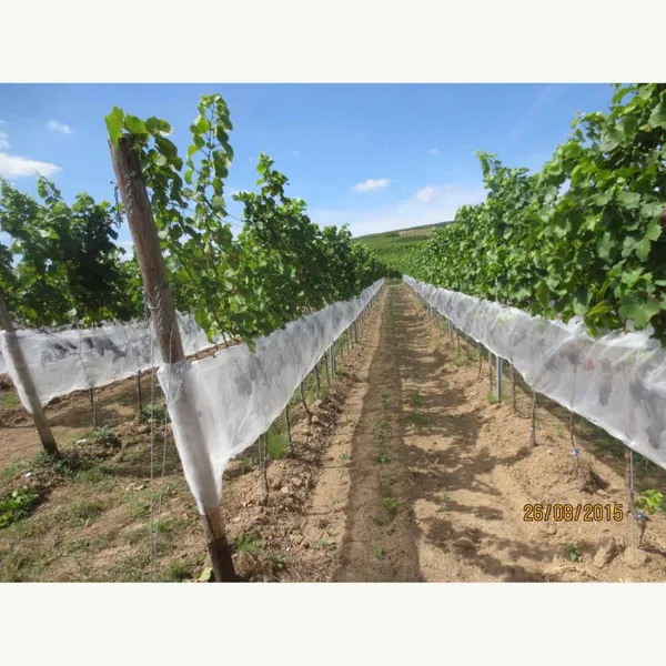 Best Sale Long Service Life Agricultural Insect Proof Net Anti-insect Net for Green House photo-4