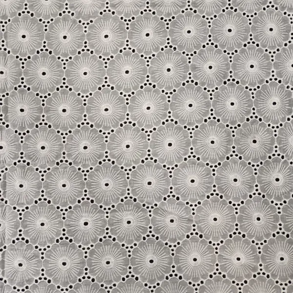XE265 White Cotton Voile Schiffli Embroidered Fabric For Garments Design Home Decoration photo-3