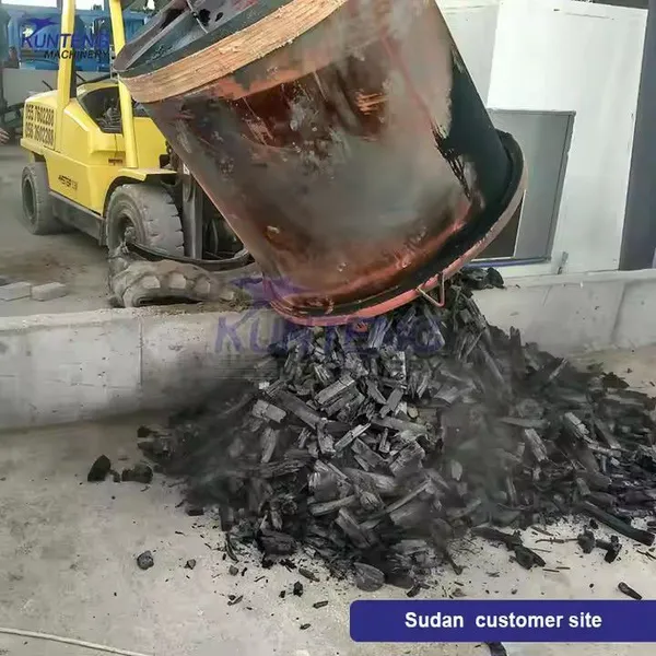 Environmental Vertical Hosting Wood Coconut Cashew Nuts Shell Charcoal Kiln Carbonization Furnace EPC photo-3