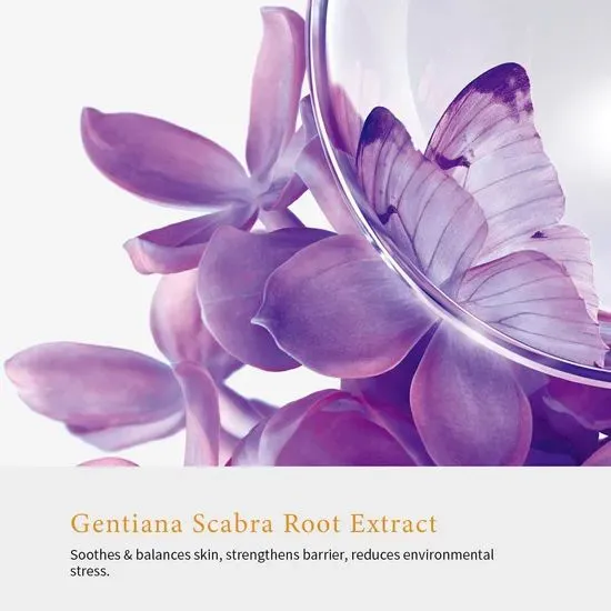 OEM/ODM 15% Vitamin C Essence 15% Pure Vc High Anti-Oxidant Lighten Dark Spots Improve Dullness photo-5