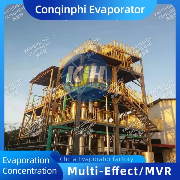 Vertical Sodium Chloride Evaporation Crystallizer, 316L Stainless Steel, IP65 Control Panel