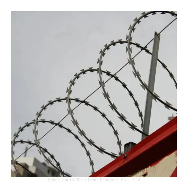 Anti-rust Galvanized Iron Wire Anti-cut Wire Mesh, 100-960mm Roll Diameter, 10-65mm Barbed Long Anti-theft Steel Wire Mesh photo-2