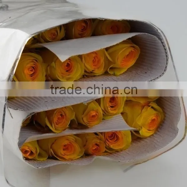 Excellent Quality Yellow Crown Yellow Big Rose Flower photo-3