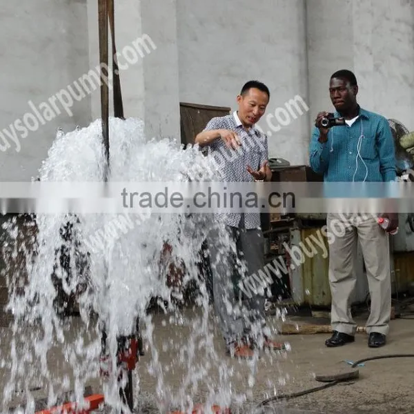 0.5 HP AC Solar Submersible Pump System photo-4
