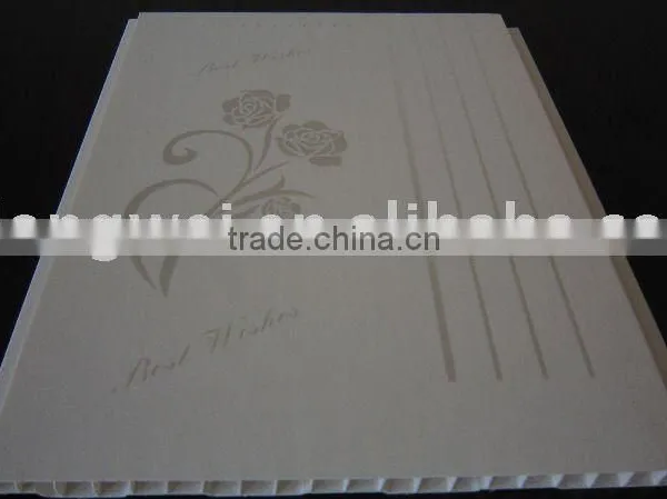 delicate false ceiling