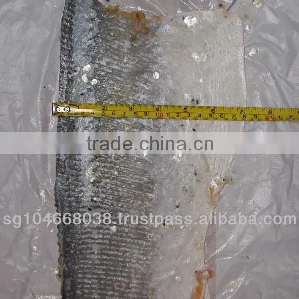FROZEN ATLANTIC SALMON SKINS photo-5