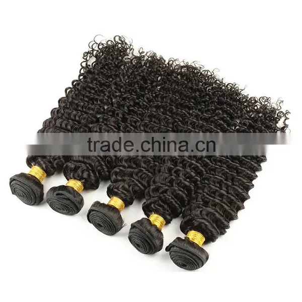 100% Unprocessed Human Virgin Brazilian Hair Kinky Curly photo-6