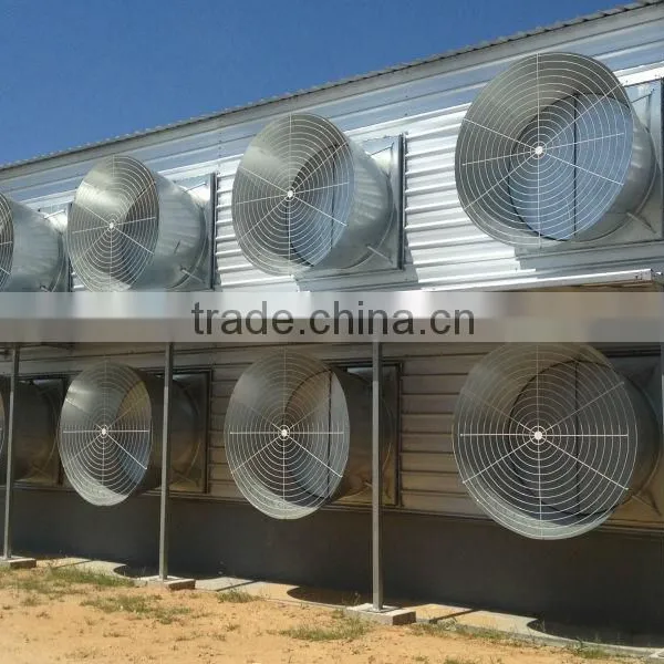 Automatic Environmental Controlled Chicken Farms Construction photo-2