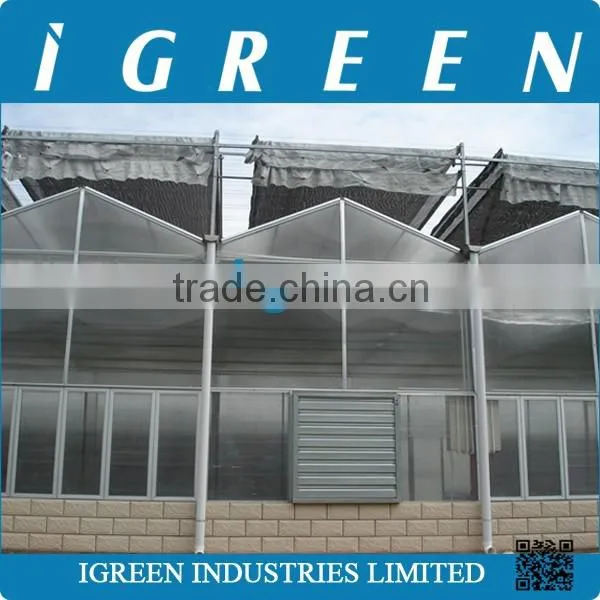 Multi Span Polycarbonate Greenhouse photo-5