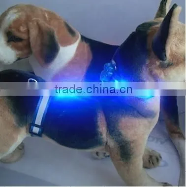 Light up Dog Collar photo-2