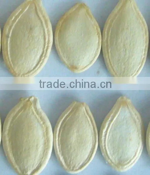 Chinese Roasted Pumpkin Seeds