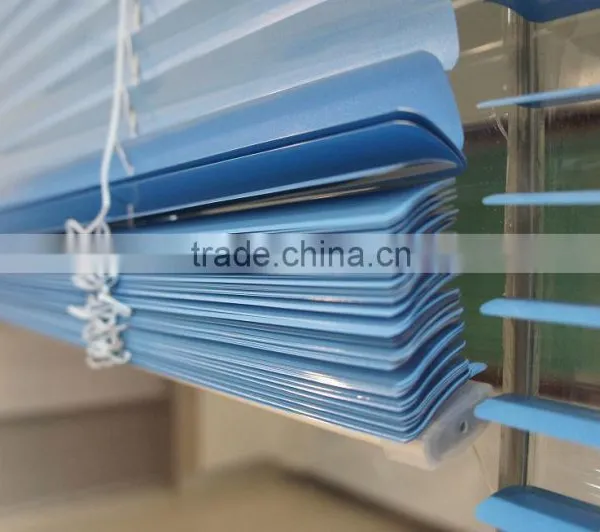 windows shutters
