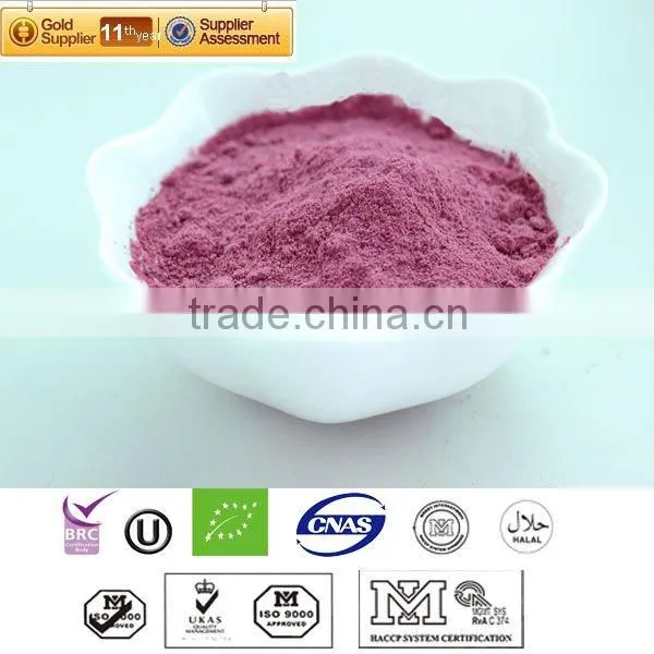 Blueberry Juice Powder
