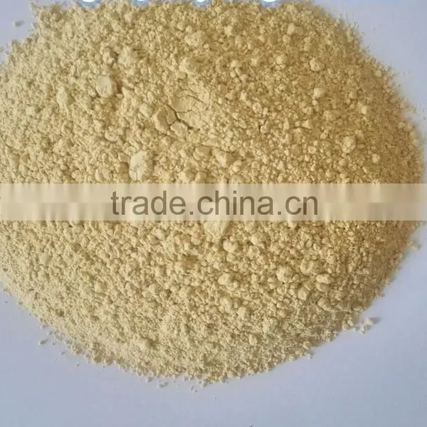 Wholesale High Quality Ginger Powder Factory Low Price photo-3