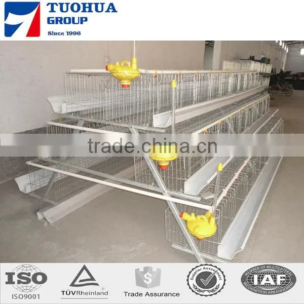 A Type Egg Chicken Layer Cages,layer Poultry Cages photo-3