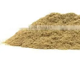 GINGER POWDER SPRAY DRIED SPICES photo-2