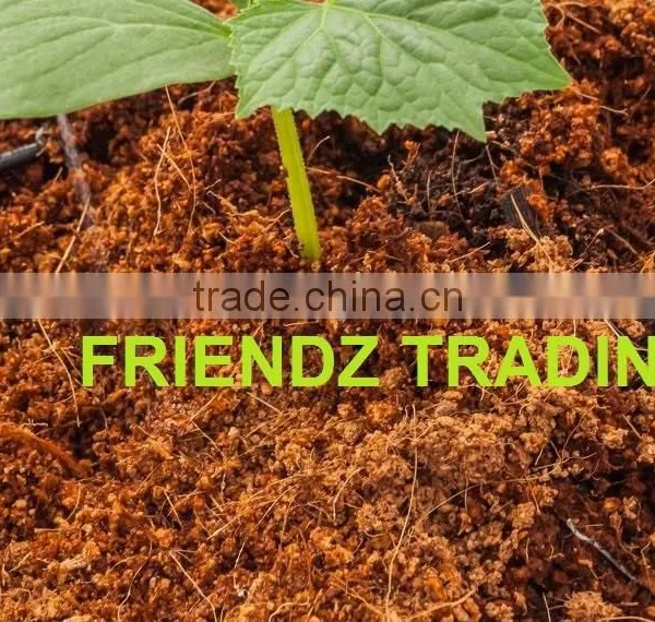 5kg Coco Peat Blocks for Animal Bedding