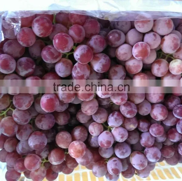 2014 New Crop Red Globe Grapes photo-2