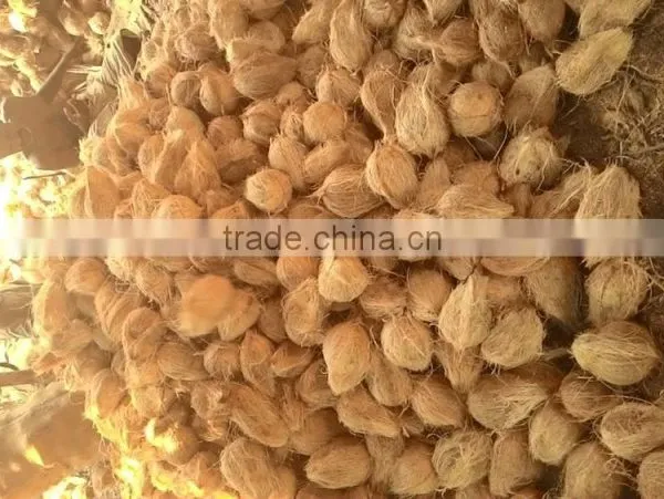 Fresh Farm Supply Coconut for Cooking photo-2