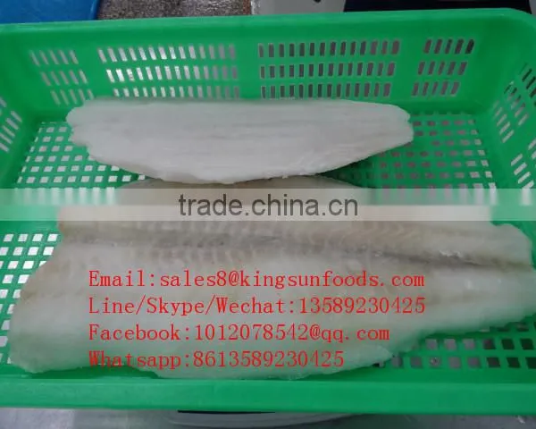 High Quality Light Salted Seafood Fish Saithe Fillet on Sale photo-4