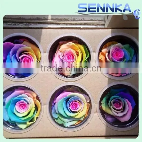 Multicolor Preserved Rose Rainbow Roses Real Touch Preserved Rose photo-2