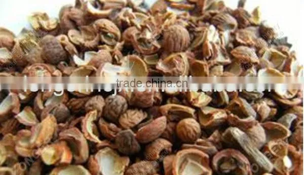 Automatic Almond Peeling Machine/Almond Processing Line Prices photo-6