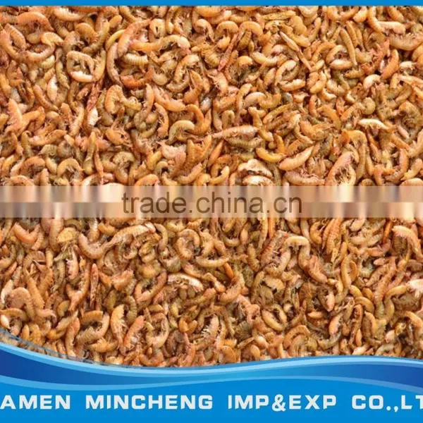 Sun Dried Gammarus