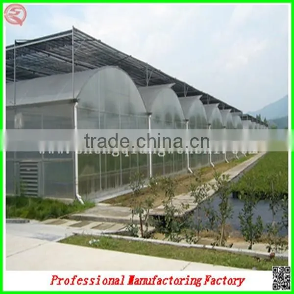 Commercial Plastic Vegetable Greenhouse for Sale With Seedbed photo-2