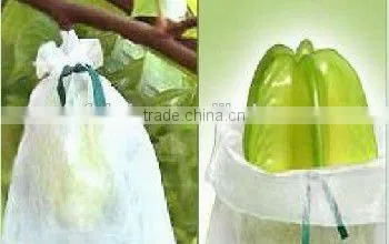 100% pp Spunbond Non Woven Agriculture Banana Bags photo-2