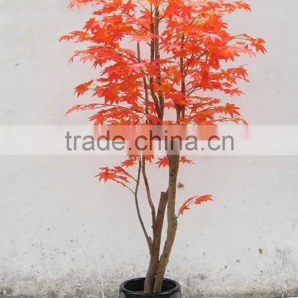 Supply Artificial Mini Maple Bonsai Tree photo-2